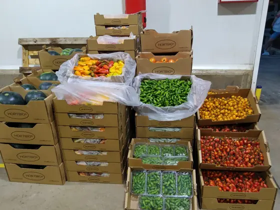 Cajas de Hortbio con fruta y verdura ecológica preparadas