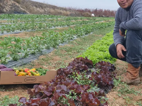 David Camarasa en el campo de Hortbio